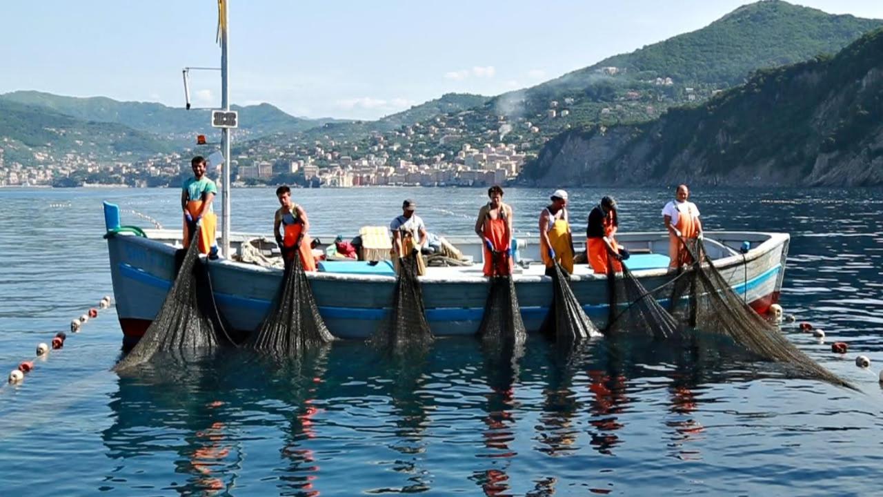 Stella Marina Hotell Camogli Eksteriør bilde